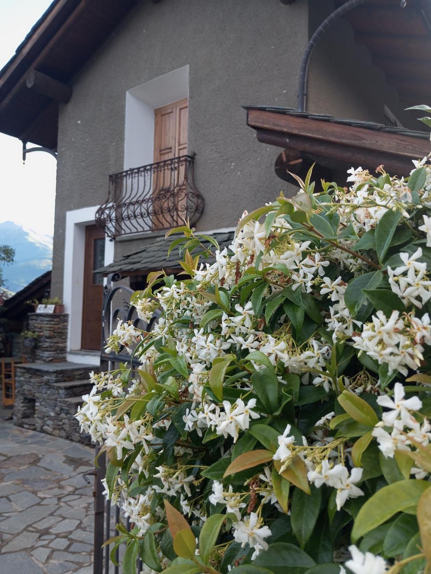 Rosina House E Chalet كوليكو المظهر الخارجي الصورة